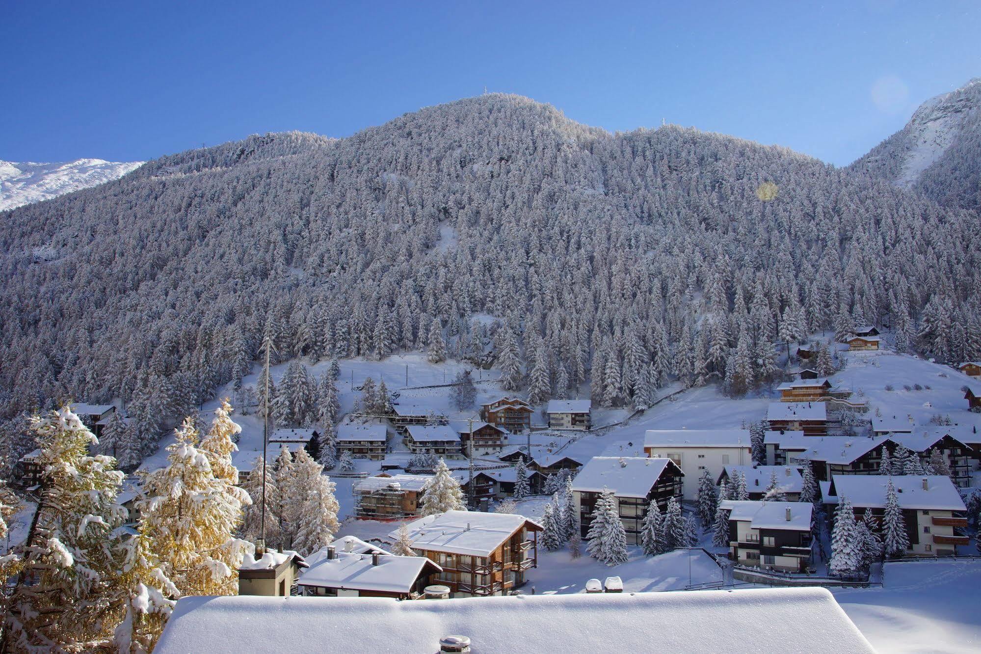 Paradies Appartamento *